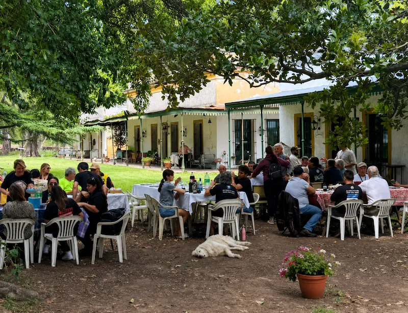 Group of friends having tea during an afternoon in the countryside