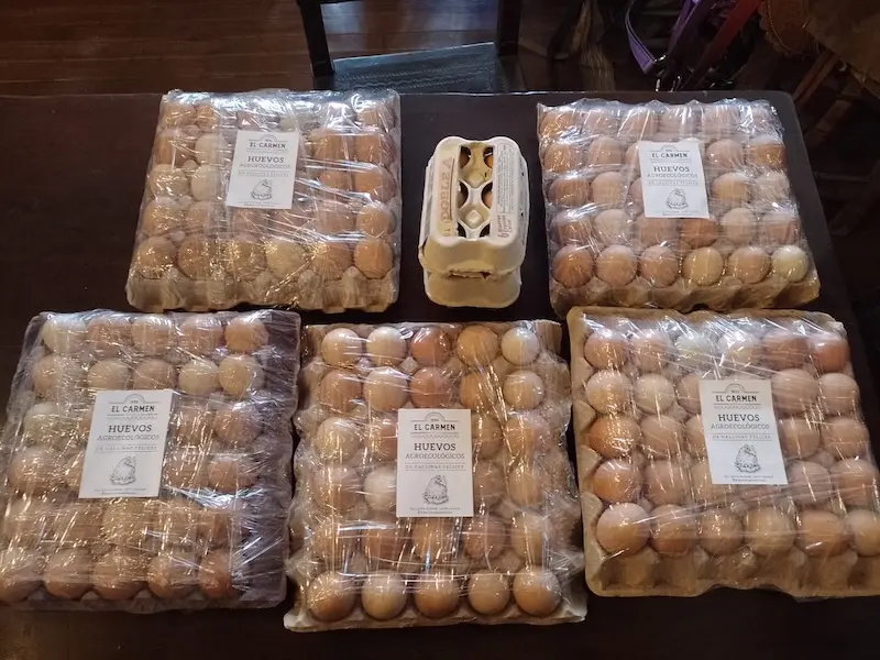 Free-range eggs produced in the countryside at El Carmen