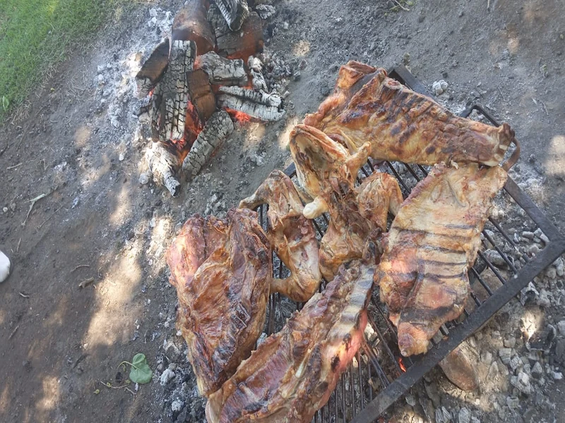 Horseback riding in the countryside