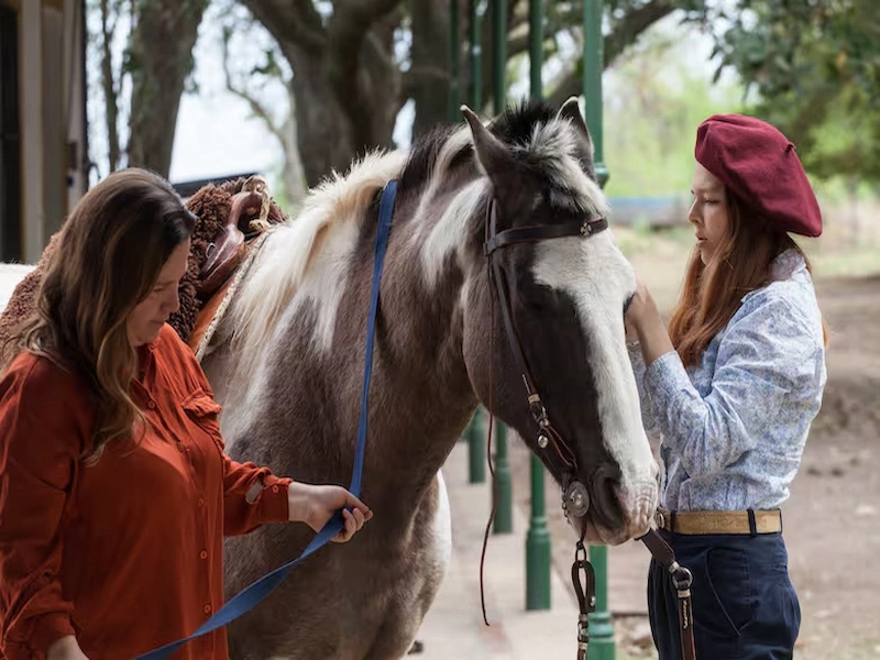 Saddling a horse at Haras El Carmen de Rojas